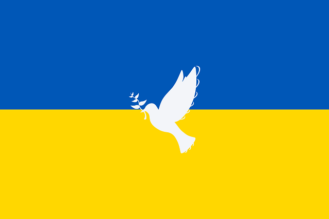 Ukraine Relief Gig